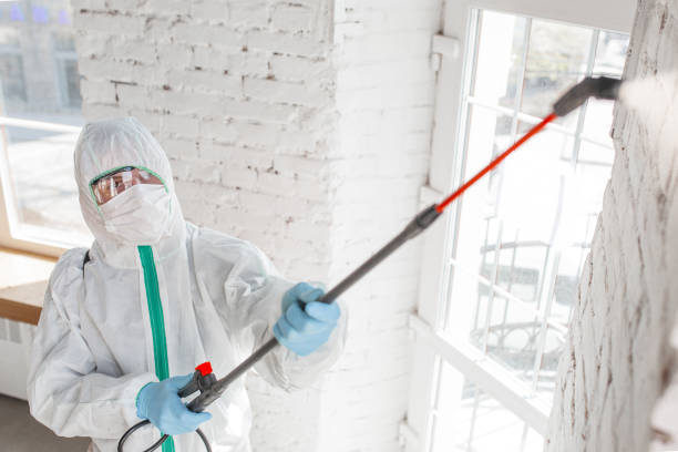 Biohazard Mold Removal in Palmetto, FL